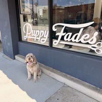 Puppy Fades - Pet Groomers Near Me - Pasadena, California