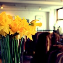 Siopaella Designer Exchange - Beautiful flowers...