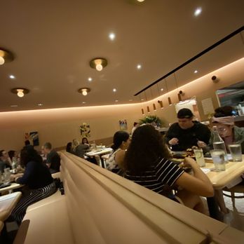 DOMU - Dr. Phillips - Dining room - Ramen Near Me - Orlando, Florida