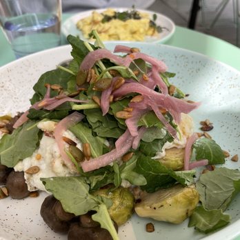 Bluestone Lane Walnut Street Café - Breakfast & Brunch Near Me - Philadelphia, Pennsylvania