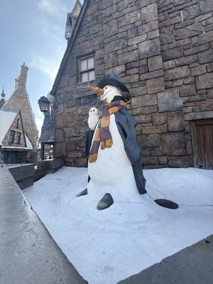 Harry Potter and the Forbidden Journey by null