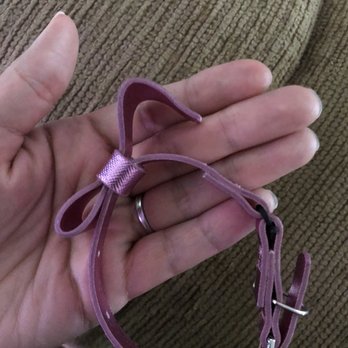 A Clip Above - My collar that returned back to me after noticing it was missing. (Broken) - Pet Groomers Near Me - Centennial, Colorado