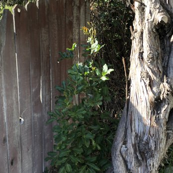 Villa Fencing - Before - Fences & Gates Near Me Villa Fencing - Before - Fences & Gates Near Me