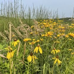 Prairie Ridge Conservation Park