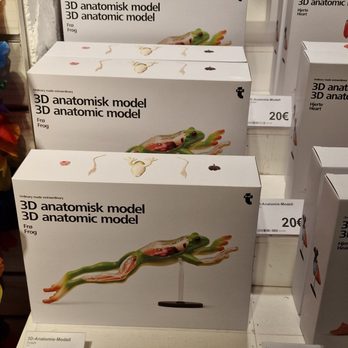 Flying Tiger - Gift Shops Near Me - Berlin, BE
