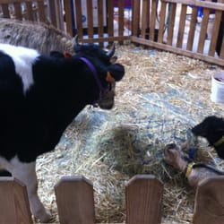 Centre Commercial Portet-sur-Garonne - Des animaux trop mimi pour Pâques