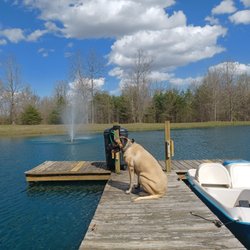 Reed Lake Fishing Cabins - Tara waiting to feed the fish