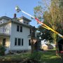 Photo of ''Got Wood'' Tree Service