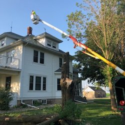 ''Got Wood'' Tree Service