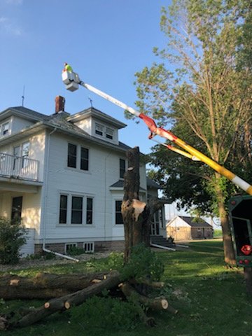 ''Got Wood'' Tree Service - tree service in DeForest, WI