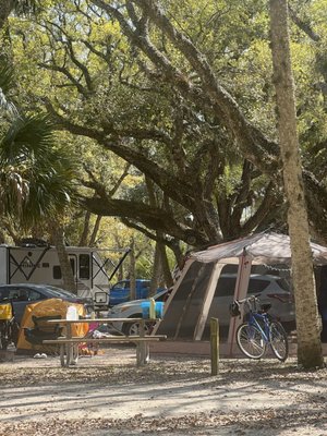 Kissimmee Prairie Preserve State Park by null