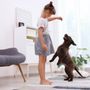 Photo of Dog Training Elite