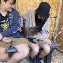 Grand Canyon Deer Farm - We held coatimundi