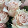 Blooming Flowers & Gifts gift card