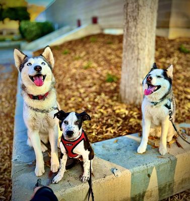 Kastner Intermediate School