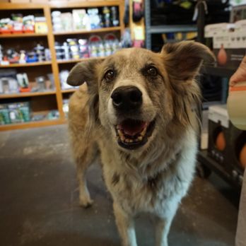 Eco Gro - Hannah is the cutest! - Nurseries & Gardening Near Me - Tucson, Arizona Eco Gro - Hannah is the cutest! - Nurseries & Gardening Near Me - Tucson, Arizona