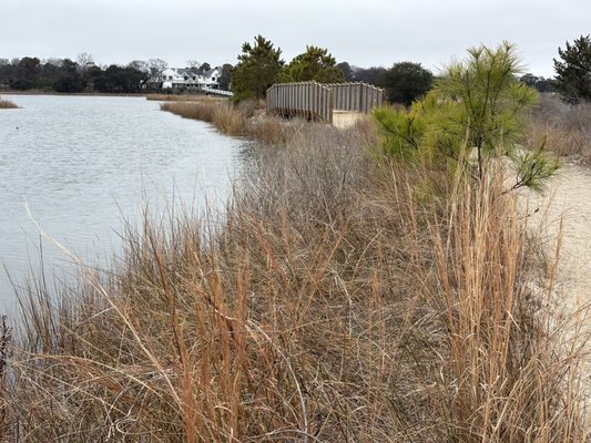 Pleasure House Point Natural Area by null