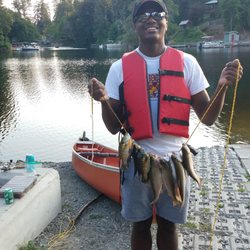 Trout College