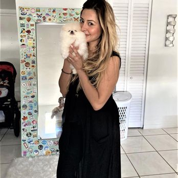 Pomeranian Puppies Miami - Pet Breeders Near Me Pomeranian Puppies Miami - Pet Breeders Near Me