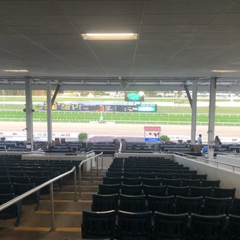 Tampa Bay Downs - Sure. - Casinos Near Me - Tampa, Florida Tampa Bay Downs - Sure. - Casinos Near Me - Tampa, Florida
