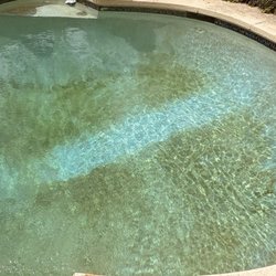 Sun-Kist Pools - Just brushing after the "pool visit". Definitively the guy wasn't doing his job