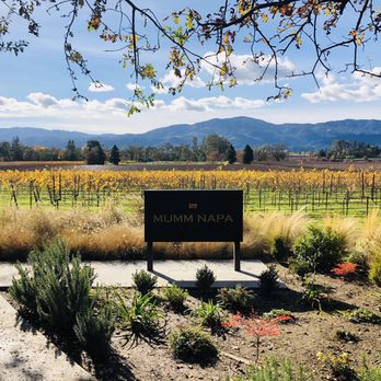 Mumm Napa - Wine Tasting Room Near Me - Rutherford, California Mumm Napa - Wine Tasting Room Near Me - Rutherford, California