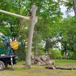 Charter Oak Tree Service