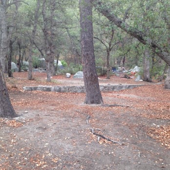 General Hitchcock Campground - A common view at the campground. - Campgrounds Near Me - Mount Lemmon, Arizona