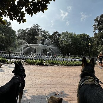 Forsyth Park - Dog friendly - Parks Near Me - Savannah, Georgia Forsyth Park - Dog friendly - Parks Near Me - Savannah, Georgia