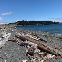 Jackson Beach - Windy without too big of waves. Nice shore to explore.