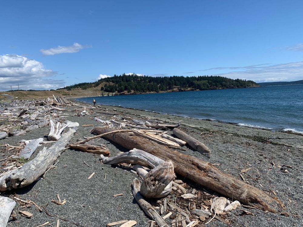 JACKSON BEACH Beaches Jackson Beach Rd, Friday Harbor, WA Phone
