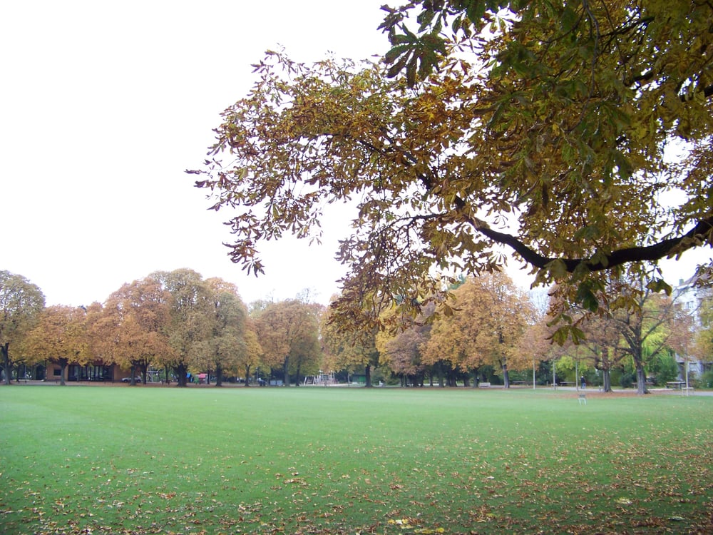 Schützenmattpark