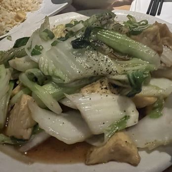 Utopia Restaurant & Lounge - Tofu Stir with Baby Bok-Chow and Naba Cabbage - Dive Bars Near Me - Portland, Oregon Utopia Restaurant & Lounge - Tofu Stir with Baby Bok-Chow and Naba Cabbage - Dive Bars Near Me - Portland, Oregon