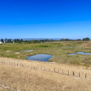 Shoreline Parklands At Mountain View - Marshland - Parks Near Me - Mountain View, California