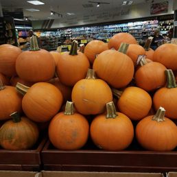 Nice pumpkins...