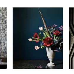 Gild & Wit Interiors
