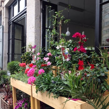 Du Vert au Balcon - Nurseries & Gardening Near Me - Lyon, 69