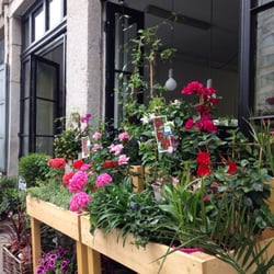 Du Vert au Balcon