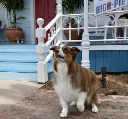 The Famous High Pie at the Top Gun House by null