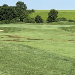 Wyncote Golf Club - Fairway issues