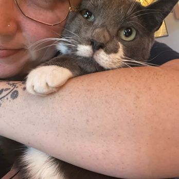 Zoomie's & Broomies - Pet Sitting Near Me Zoomie's & Broomies - Pet Sitting Near Me