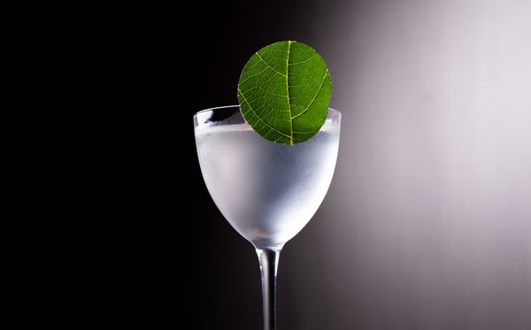 Conniption Bar & Lounge - Formerly known as Corpse Reviver Bar & Lounge by null