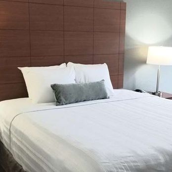 Best Western Lexington Inn - Single King Guest Room - Hotels Near Me - Lexington, Kentucky Best Western Lexington Inn - Single King Guest Room - Hotels Near Me - Lexington, Kentucky