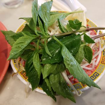 Pho Bang - Chinese bean sprouts - Vietnamese Near Me - New York, New York Pho Bang - Chinese bean sprouts - Vietnamese Near Me - New York, New York