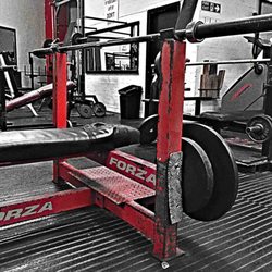 Catts Gym - Forza Bench Press in the main weights room