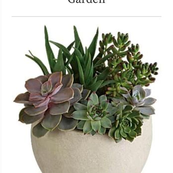 Exotic Flowers - Florists Near Me - Boston, Massachusetts