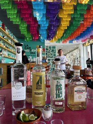 Museum of Tequila and Mezcal by null