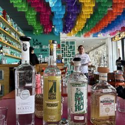 Museo del Tequila y el Mezcal