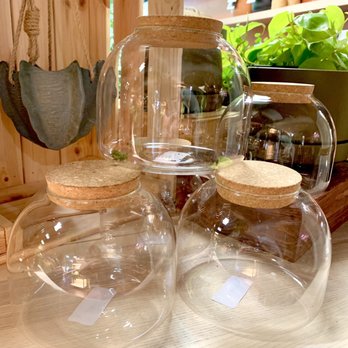 The Growing Groves Plant Shop - Glass jars - Nurseries & Gardening Near Me - Davis, California The Growing Groves Plant Shop - Glass jars - Nurseries & Gardening Near Me - Davis, California