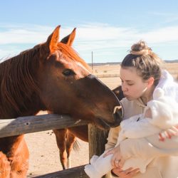 Rosie Mae Meadows Ranch - Guest introduces baby to horses